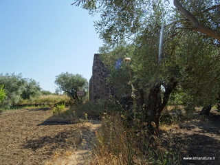 ba di Malvagna-21-08-2019 09-59-45